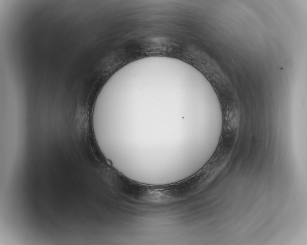 X0000101400753200807211034