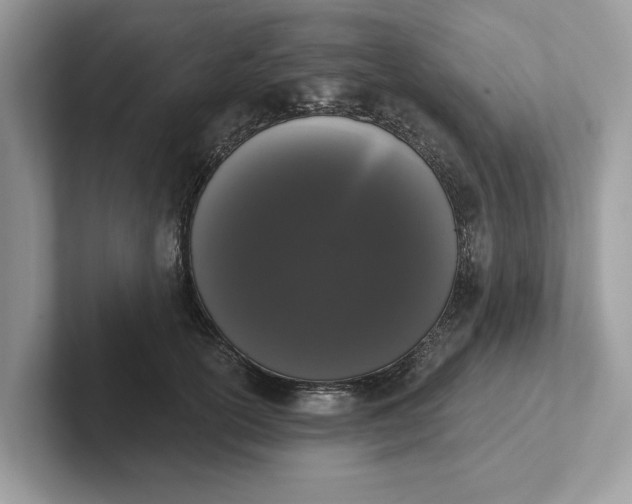 X0000101400754200807211034