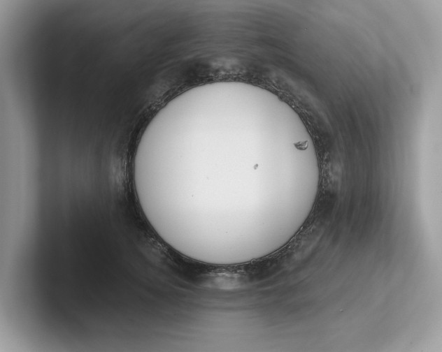 X0000101400756200807211034