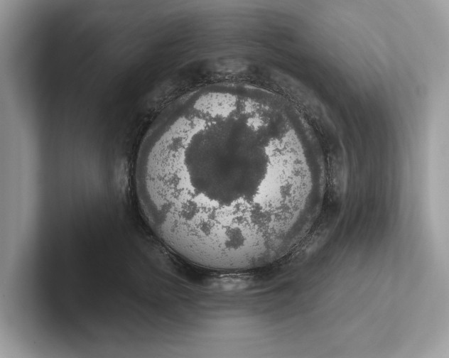 X0000101400758200807211034