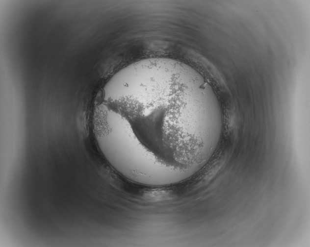 X0000101400759200807211034