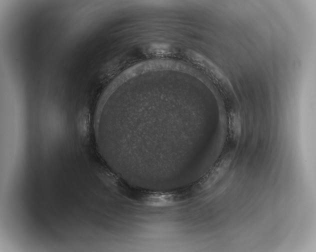 X0000101400760200807211034