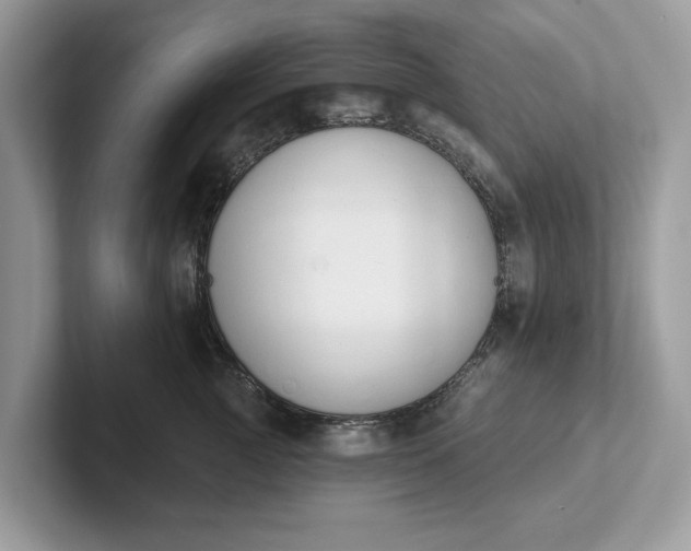 X0000101400761200807211034