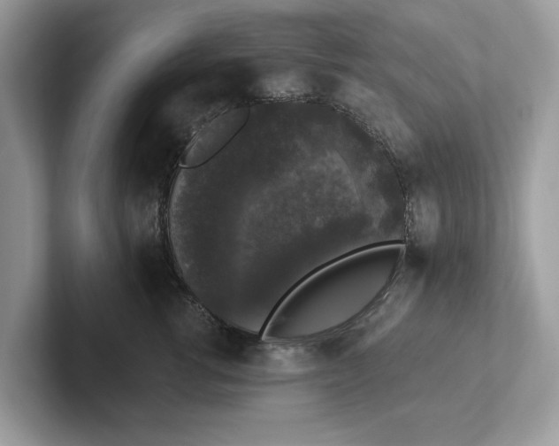 X0000101400762200807211034