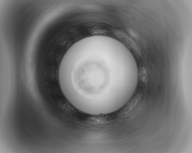 X0000101400763200807211034