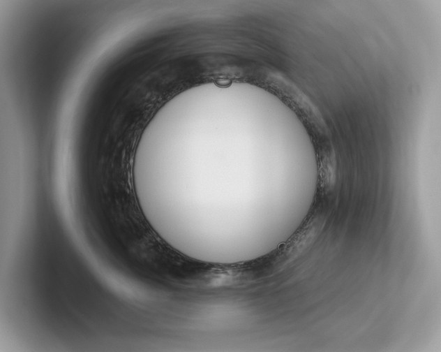 X0000101400764200807211034