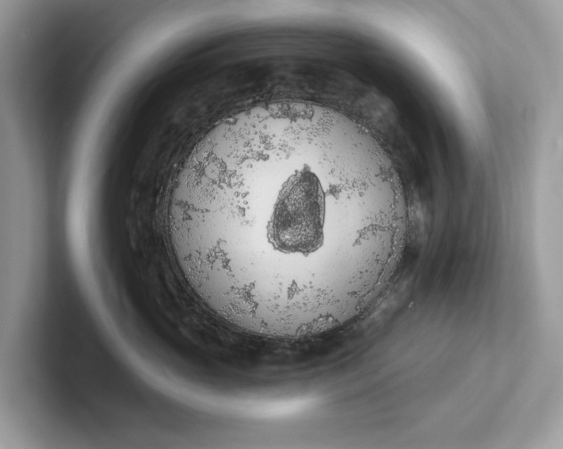 X0000101400765200807211034