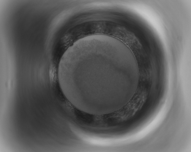 X0000101400766200807211034