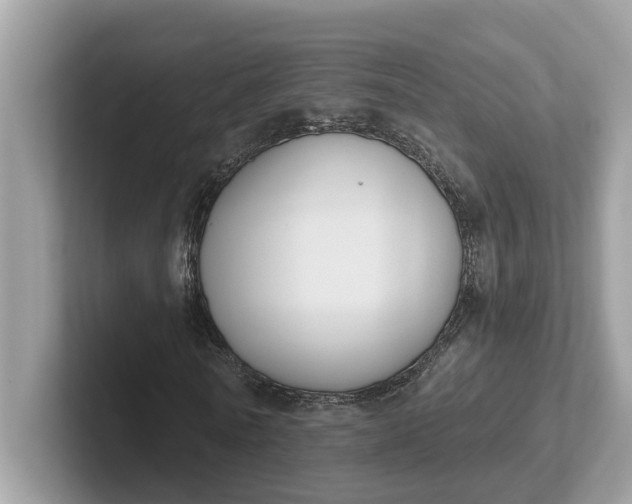 X0000101400770200807211033