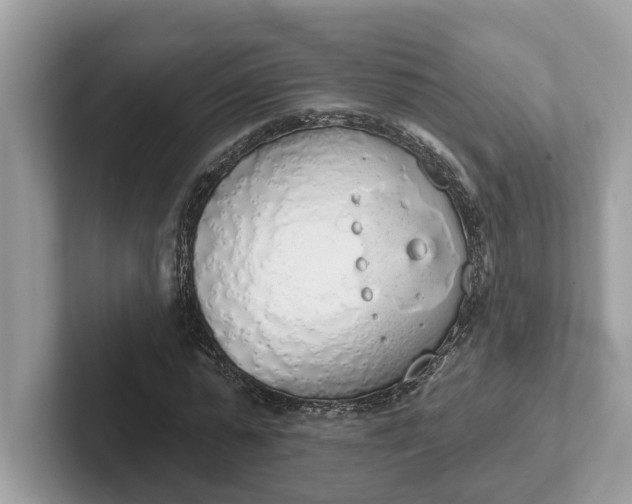 X0000101400775200807211033