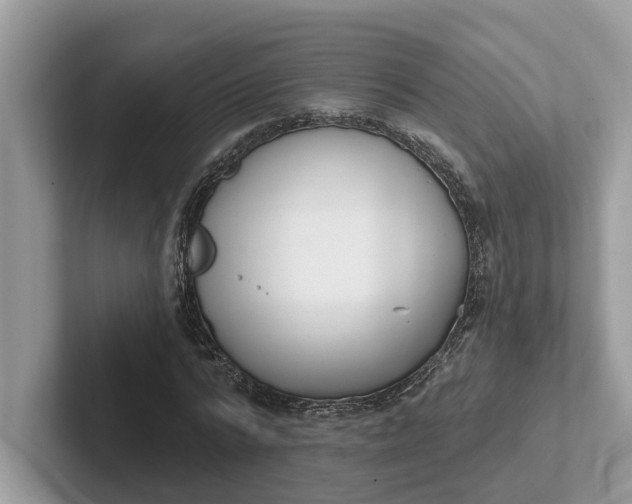 X0000101400776200807211033