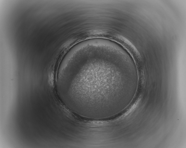 X0000101400777200807211033