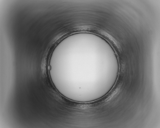 X0000101400778200807211033