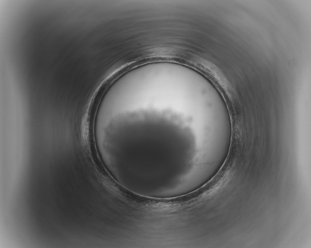 X0000101400779200807211033