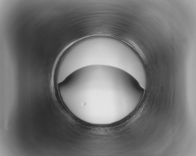 X0000101400780200807211033