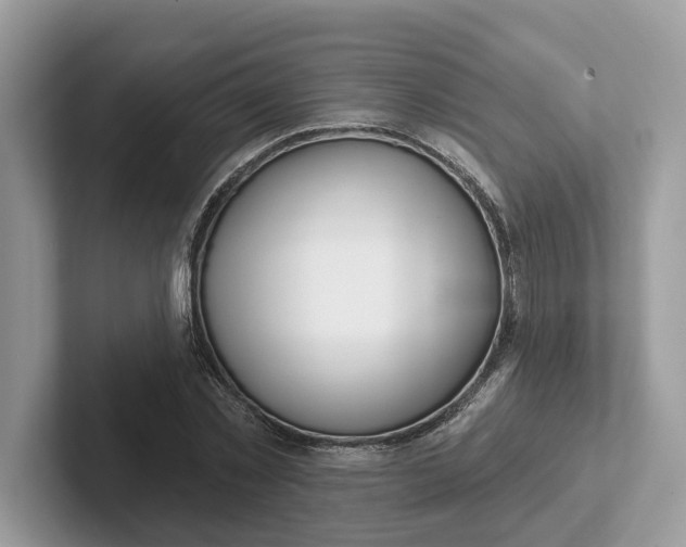 X0000101400781200807211033