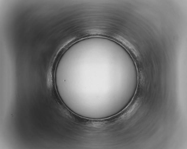 X0000101400782200807211033