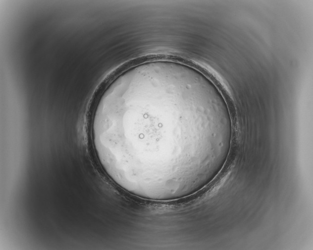 X0000101400783200807211033