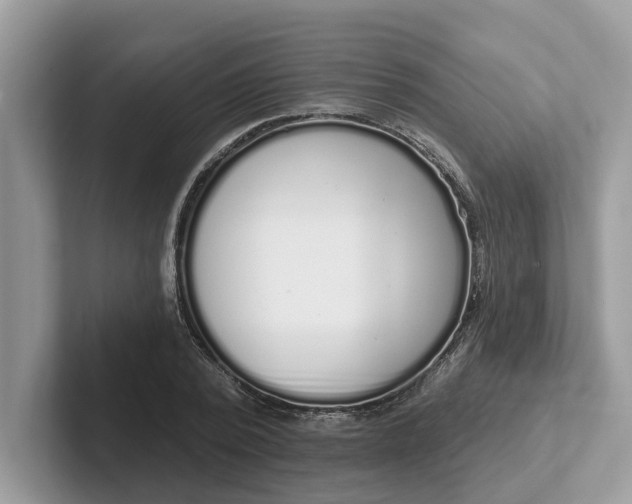 X0000101400784200807211033