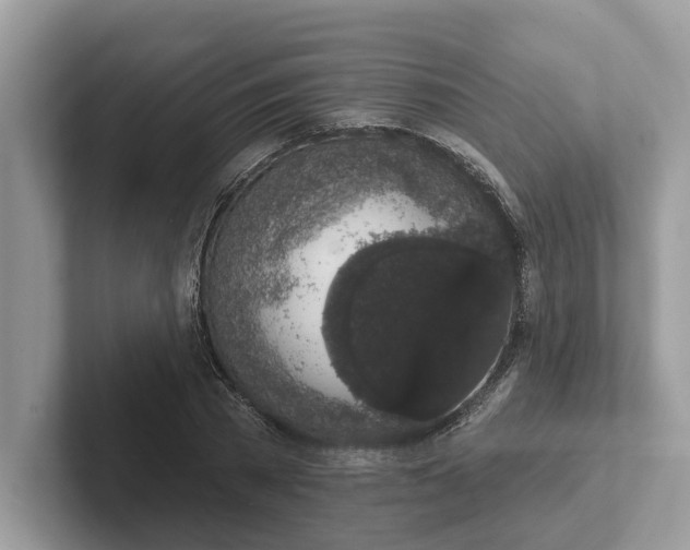 X0000101400785200807211033