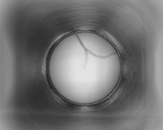 X0000101400787200807211033