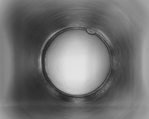 X0000101400788200807211033