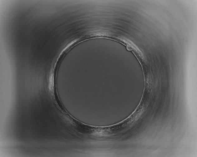 X0000101400790200807211033