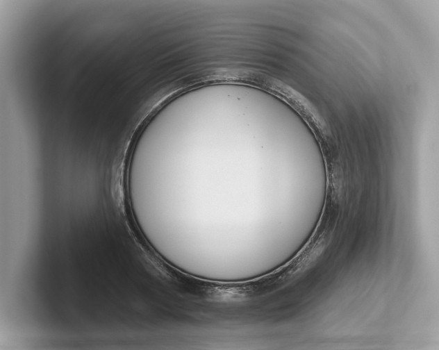 X0000101400794200807211033