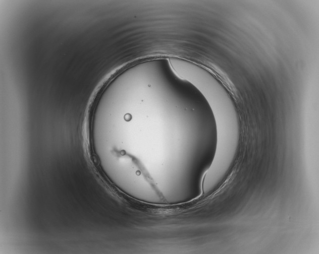 X0000101400796200807211033