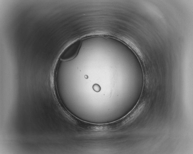 X0000101400797200807211033