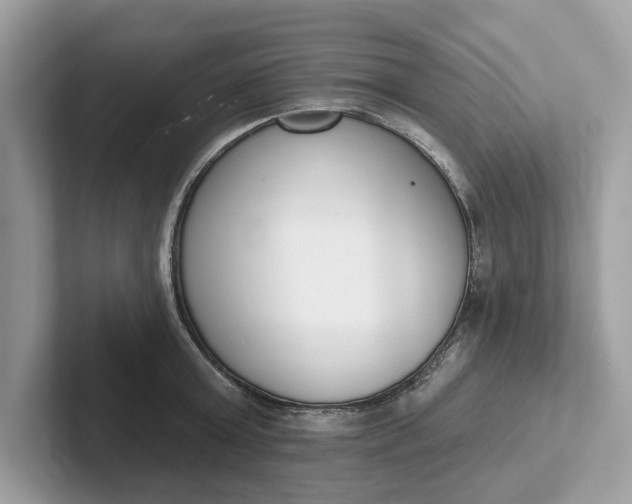 X0000101400803200807211033