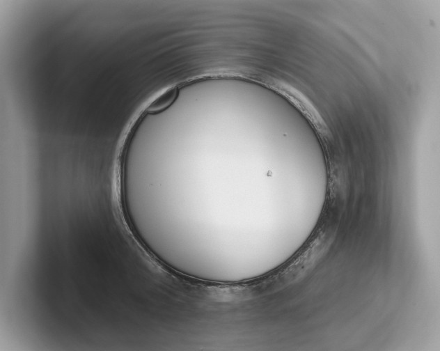 X0000101400804200807211033