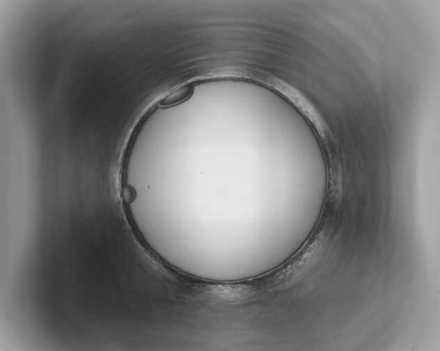 X0000101400805200807211033