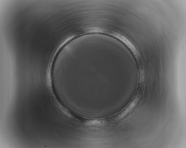 X0000101400806200807211033