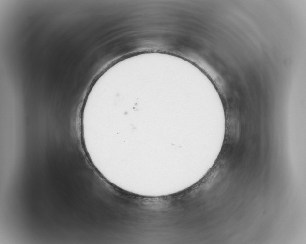 X0000101400807200807211033