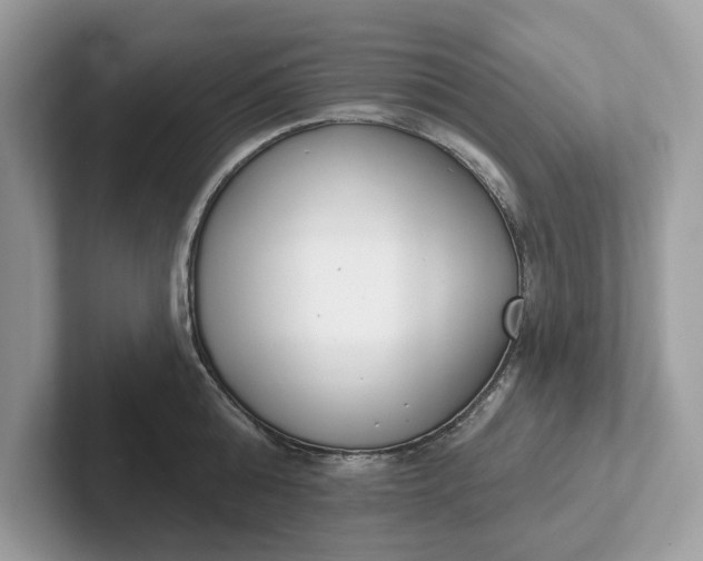 X0000101400808200807211032