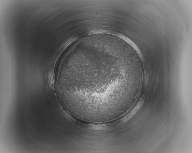 X0000101400809200807211032