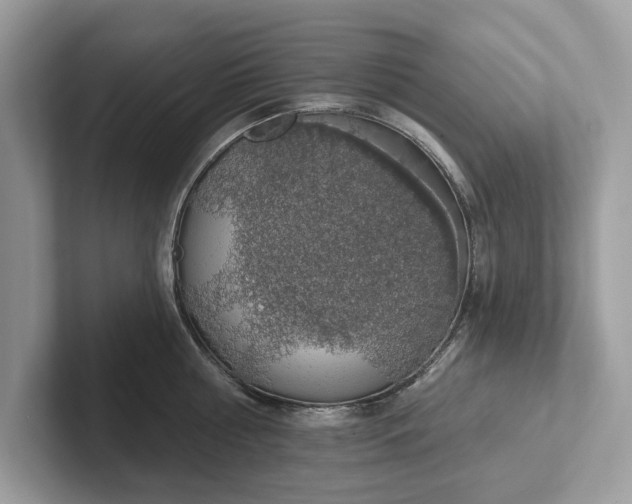 X0000101400810200807211032