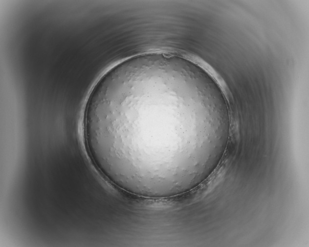 X0000101400811200807211032