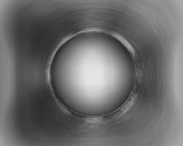 X0000101400813200807211032