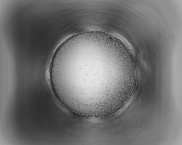 X0000101400814200807211032