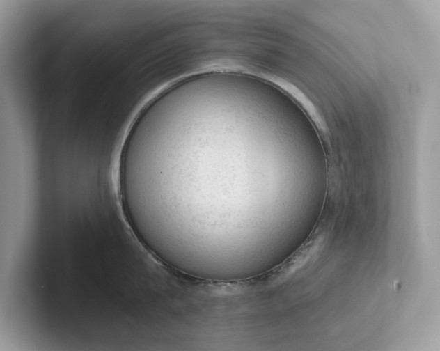 X0000101400815200807211032