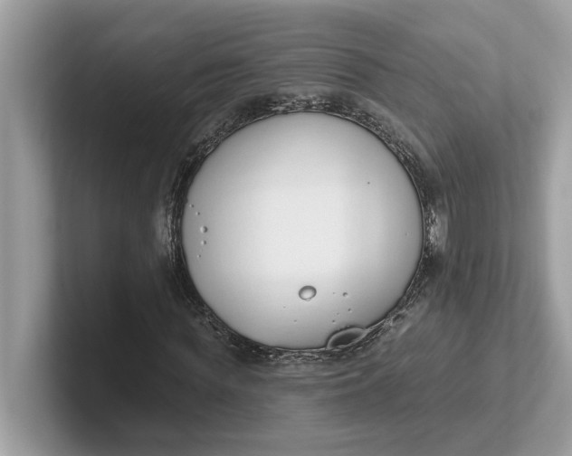 X0000101400819200807211032