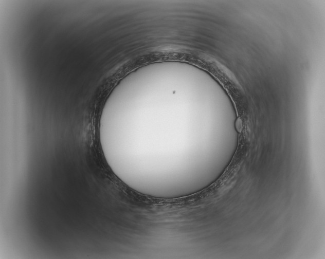 X0000101400821200807211032