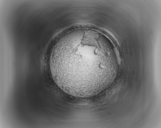 X0000101400823200807211032