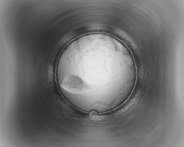 X0000101400825200807211032