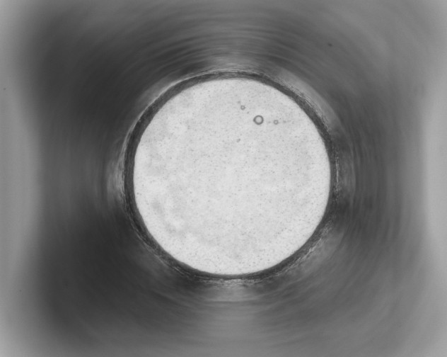 X0000101400828200807211032