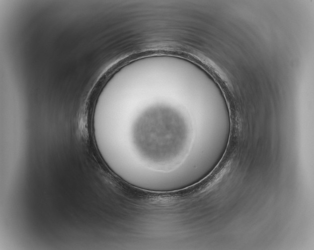 X0000101400830200807211032