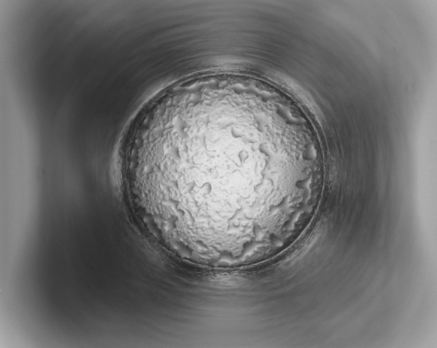 X0000101400835200807211032