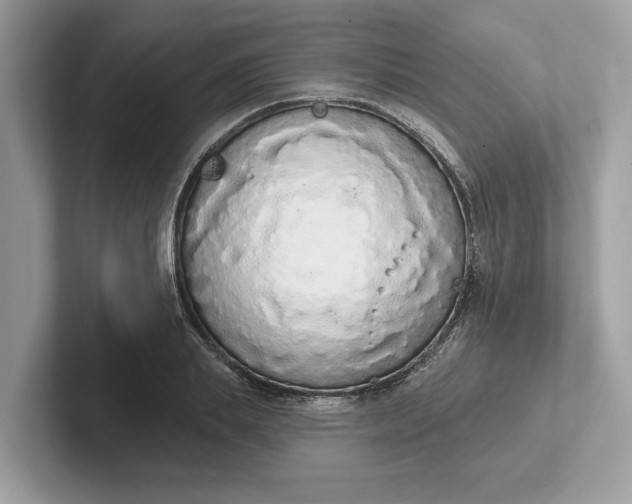 X0000101400839200807211032